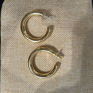 House of Harlow Gold Earrings